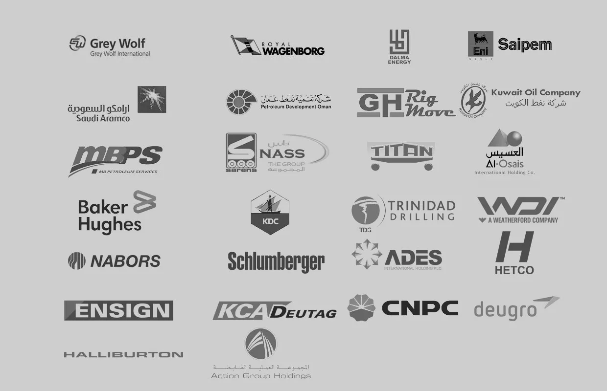 BLCS International client portfolio 2019